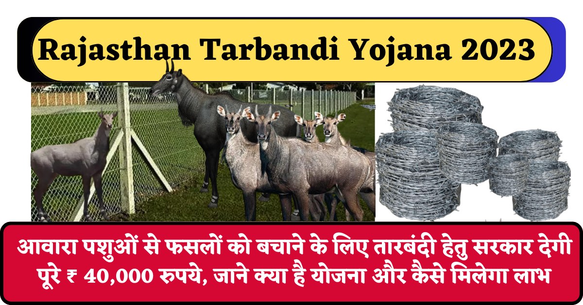 Rajasthan Tarbandi Yojana 2023 : आवारा पशुओं से फसलों को बचाने के लिए तारबंदी हेतु सरकार देगी पूरे ₹ 40,000 रुपये, जाने क्या है योजना और कैसे मिलेगा लाभ