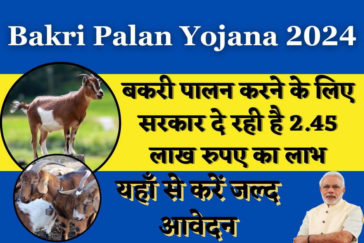 Bakri Palan Yojana 2024 : बकरी पालन करने के लिए सरकार दे रही है 2.45 लाख रुपए का लाभ, यहाँ से करें जल्द आवेदन