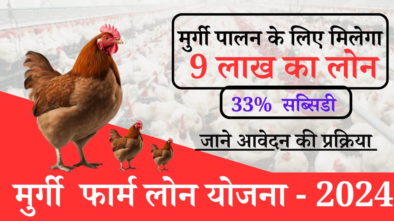 Poultry Farm Loan 2024 : मुर्गी पालन के लिए मिल रहा 9 लाख का लोन, 33% सब्सिडी के साथ