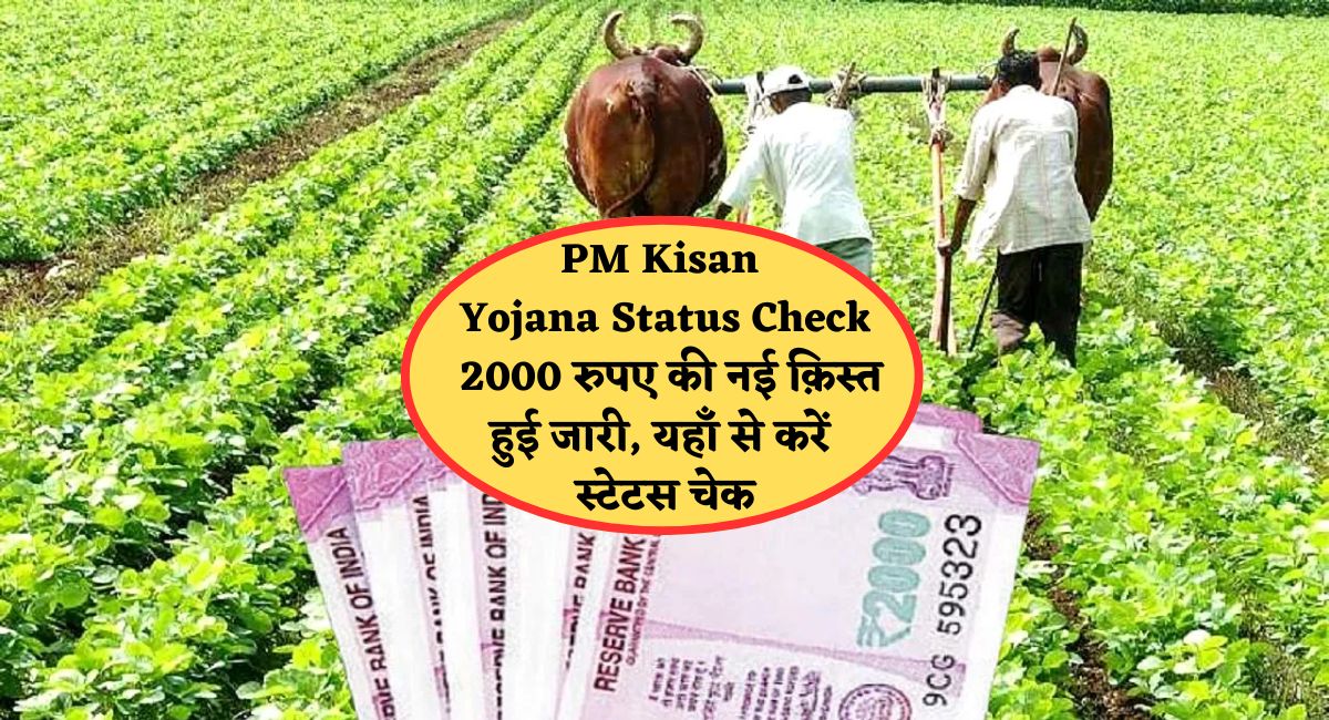 PM Kisan Yojana Status Check : 2000 रुपए की नई क़िस्त हुई जारी, यहाँ से करें स्टेटस चेक